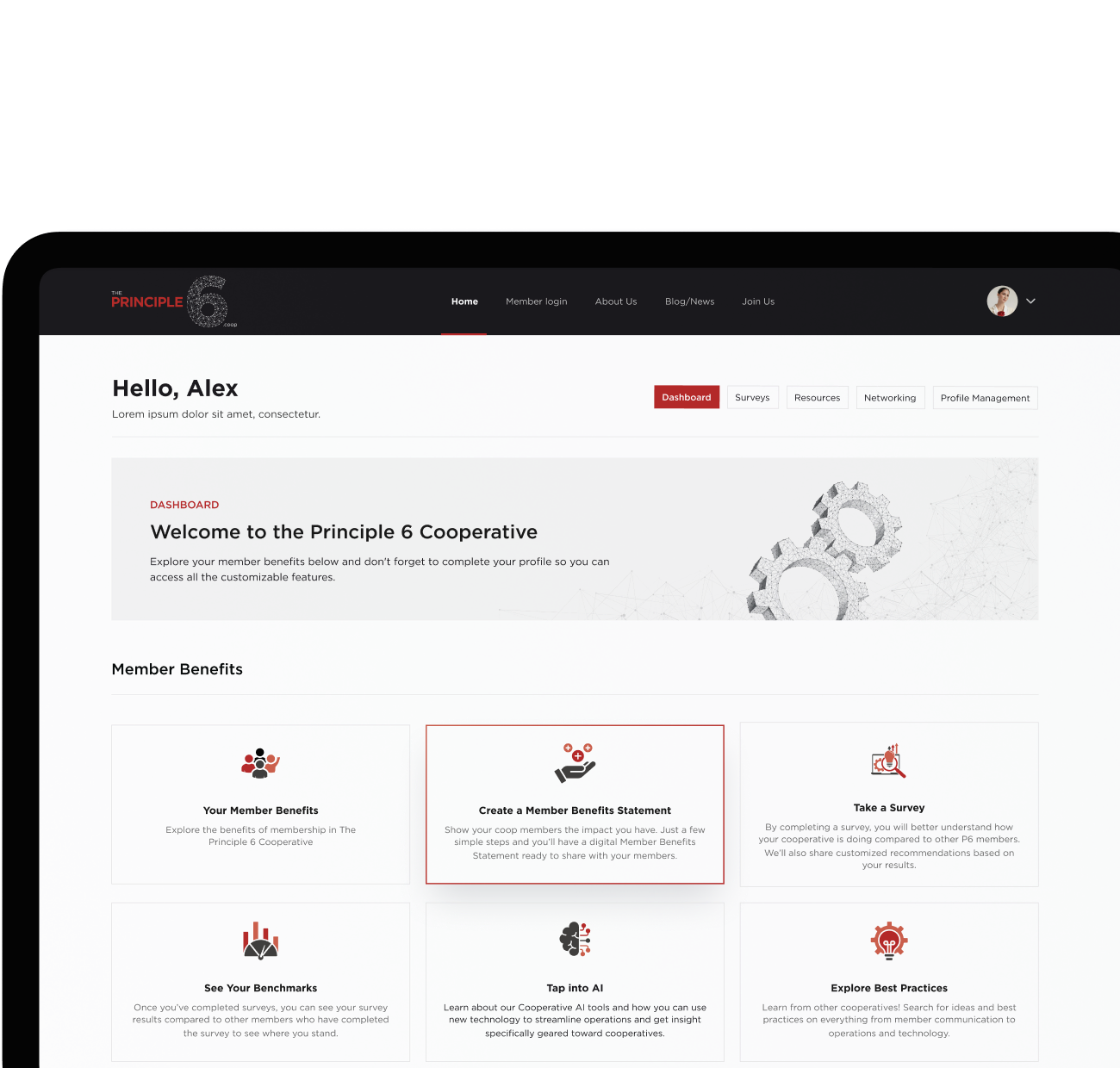 AI Coop Portfolio Preview – Showcasing Smart Cooperative AI Solutions