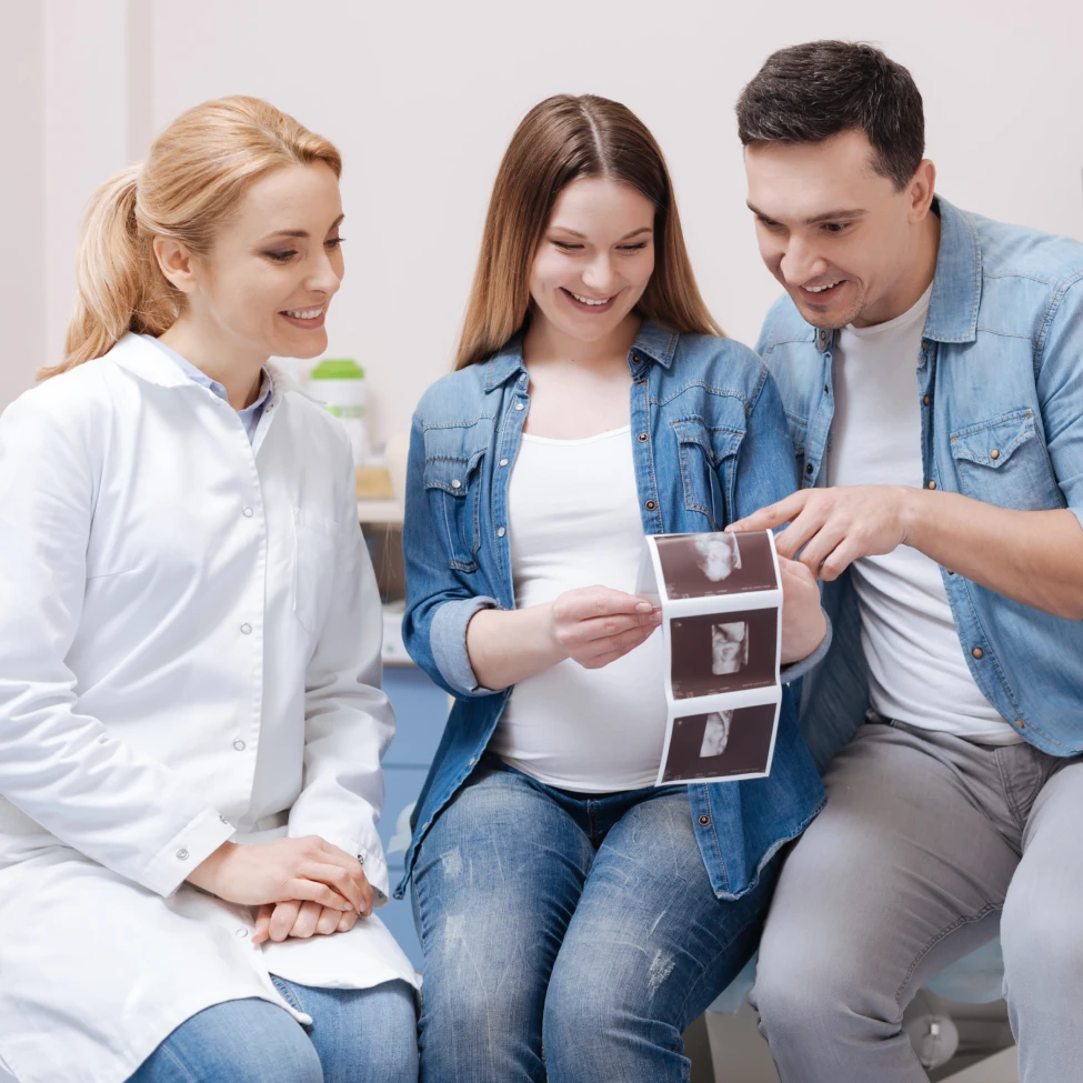 EvinceDev developed Inception Fertility website monitoring system