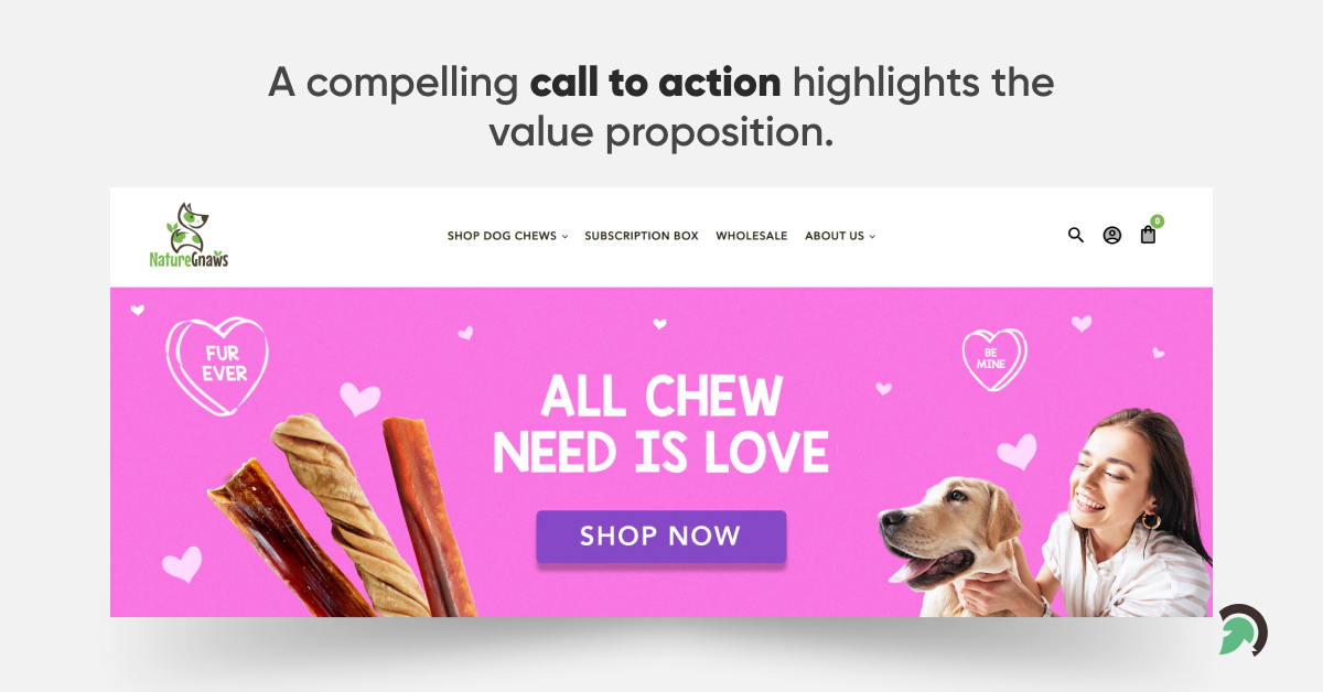 Shopify Website Design Tips for CTA