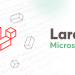 Laravel microservices architecture blog by EvinceDev for developers