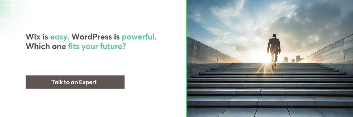 Wix vs WordPress which one is better?