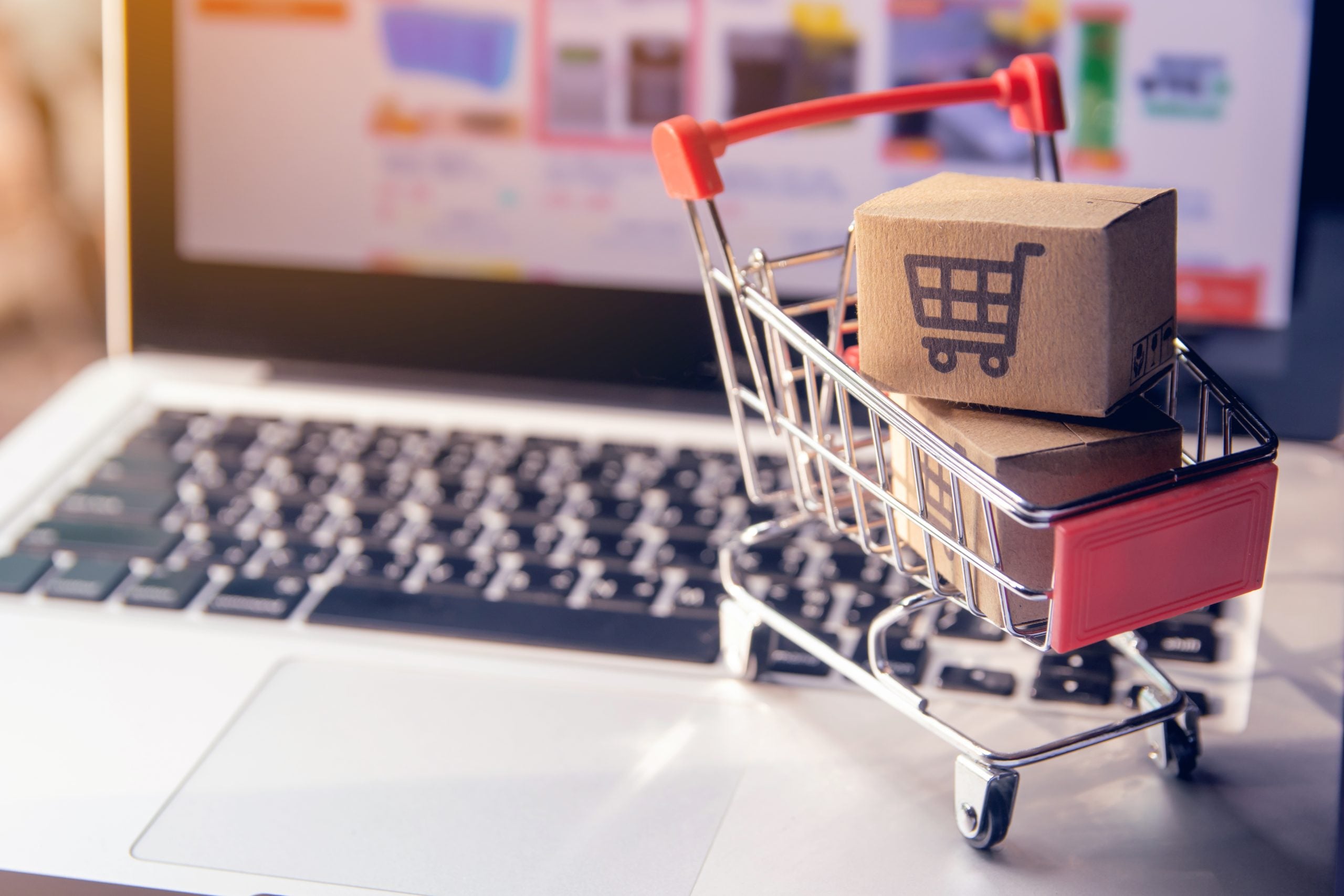 eCommerce Development Services